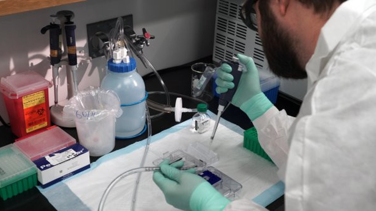 Türk bilim insanları koronanın ilacını üretti