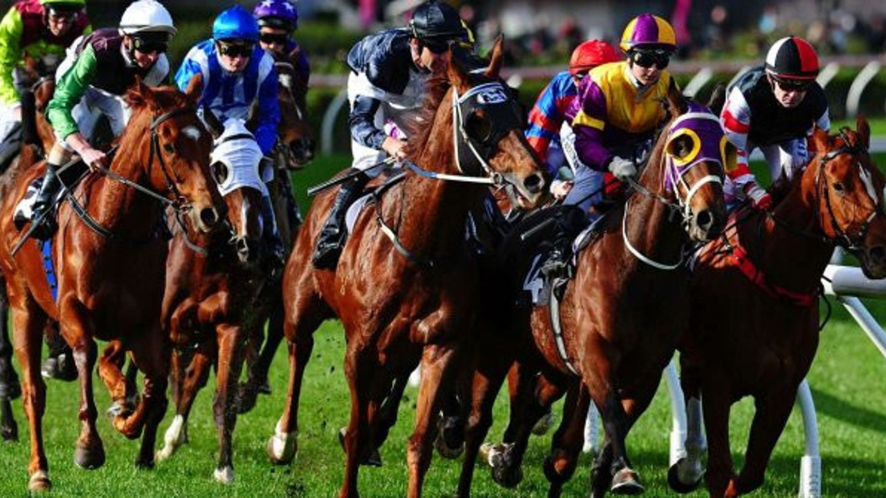 Atlar start hakemi emrine girdi