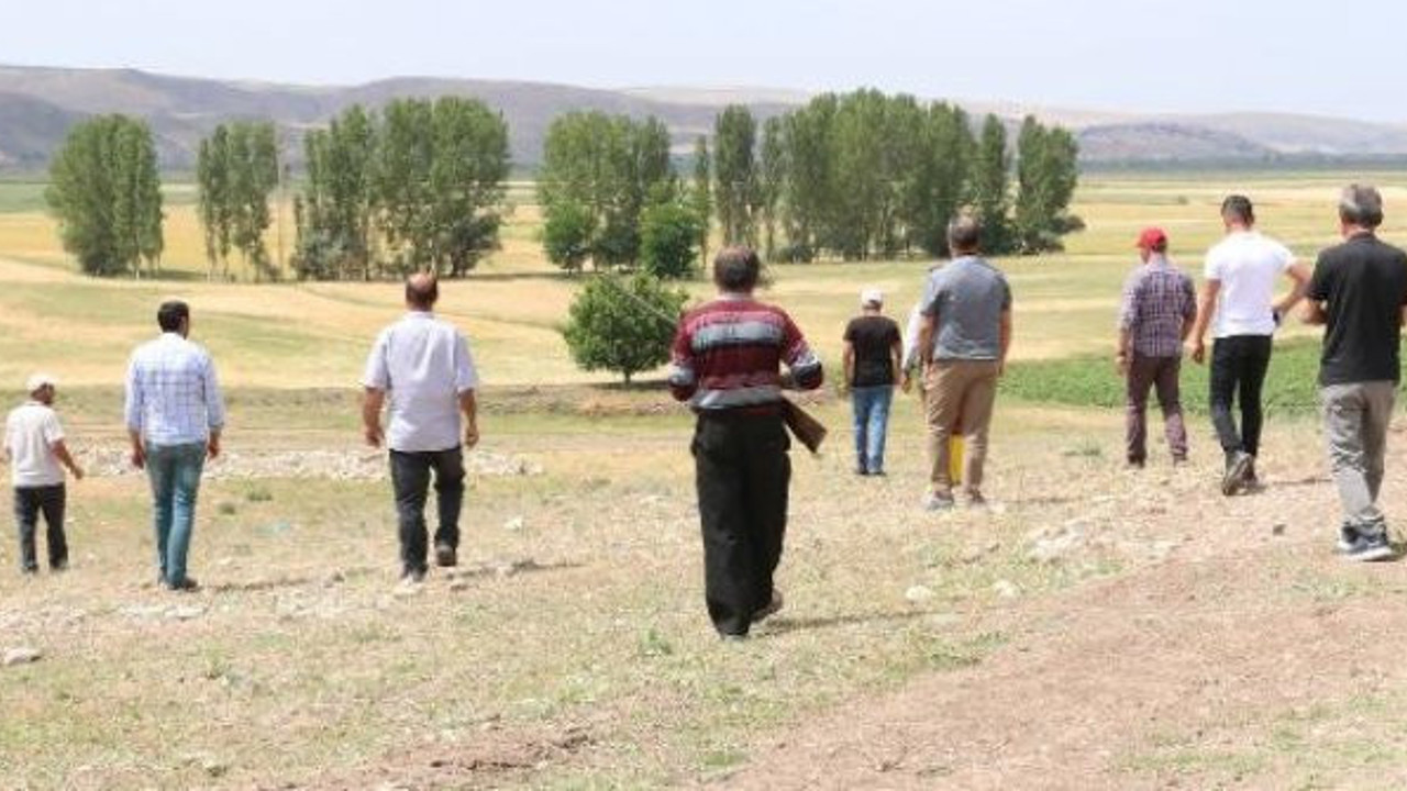 Çorumlu aslan şehri karıştırdı: Kimi yavrusu var dedi kimi eline tüfeğini aldı