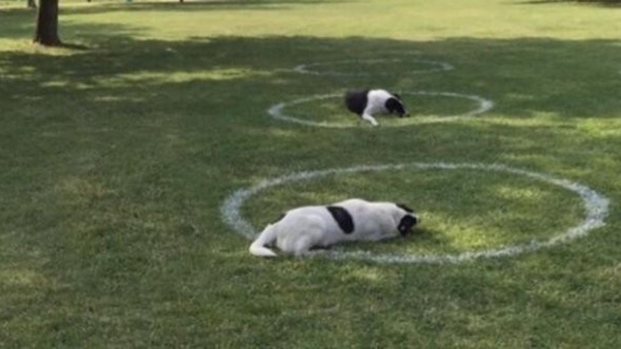 Fotoğraflar bunlar, başlığı size bırakıyoruz: En iyi yorum yapanın adın habere yazacağız