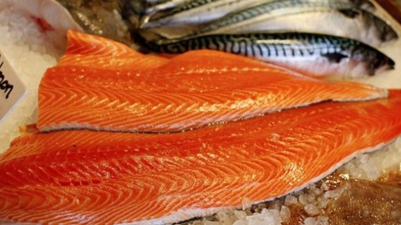 Balıktan virüs geçer mi: Somon paniği