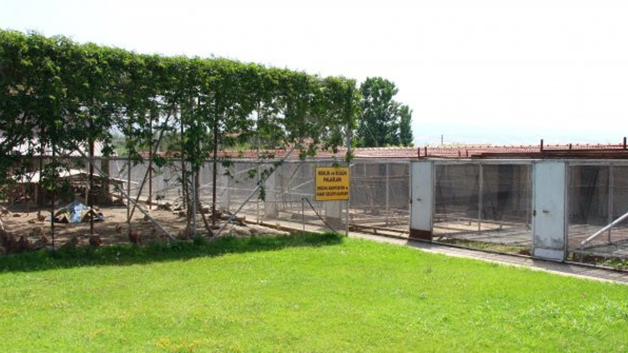 Neslini tükettiğimiz canlıya muhtaç hale geldik, doğaya düşman olanlara ders olsun