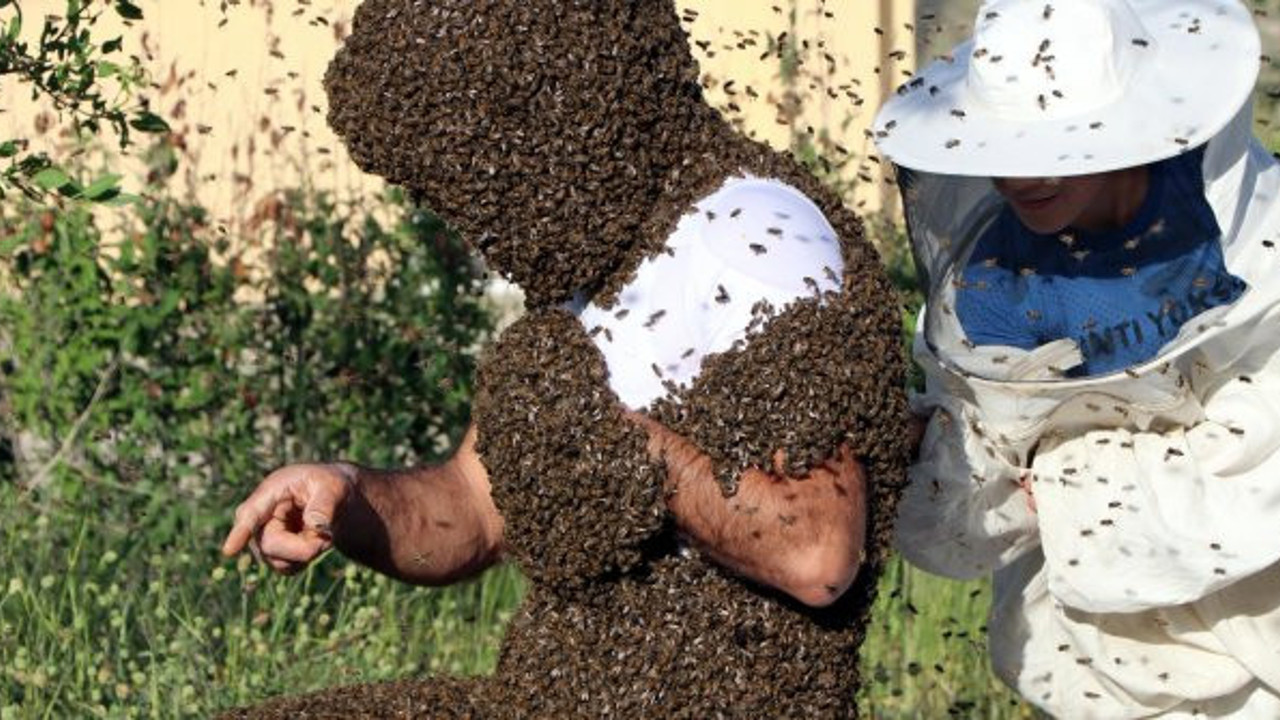 Türkiye’den Çin’e garip çıktı, kovanla yarışan adamlar