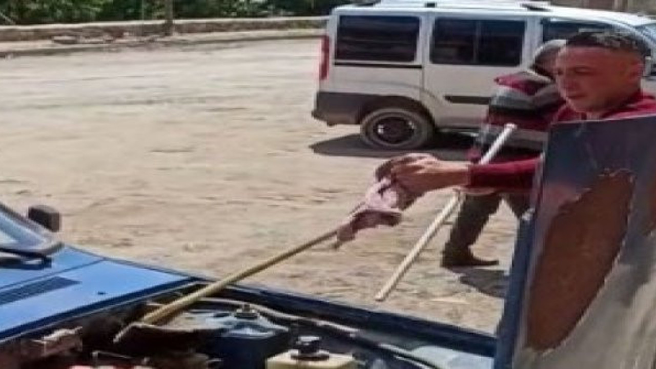 Aracına giren yılanı elleriyle yakaladı