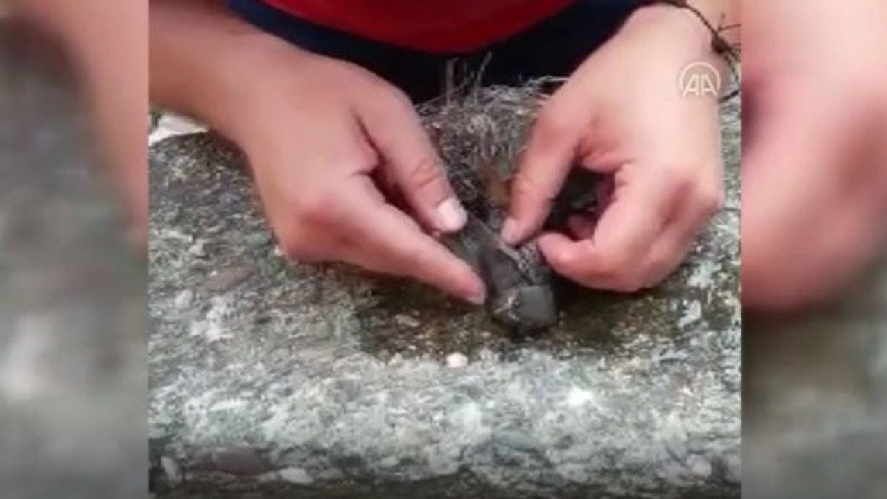 İtfaiyeciden kuşa kalp masajı ve suni teneffüs