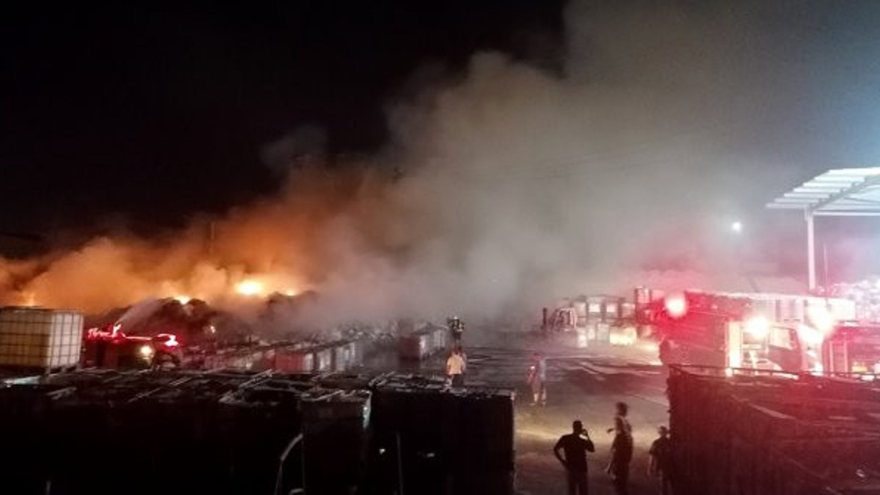 Manisa'da korkutan yangın (28 Haziran 2020)