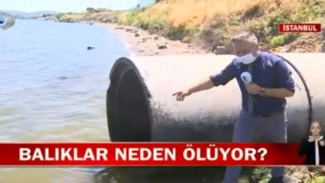 Kanal D muhabiri Küçükçekmece Gölü’ndeki esrarengiz olayı çözdü