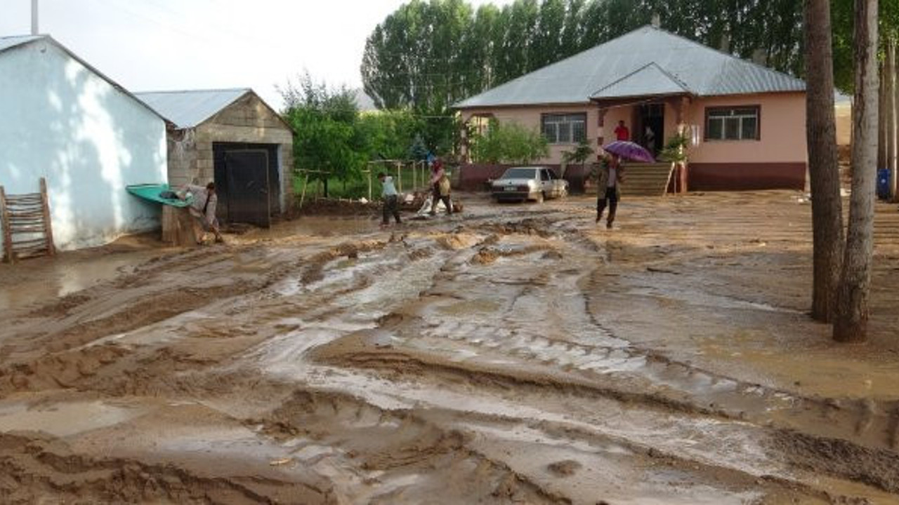 Erciş'te 74 koyun sele kapılarak öldü