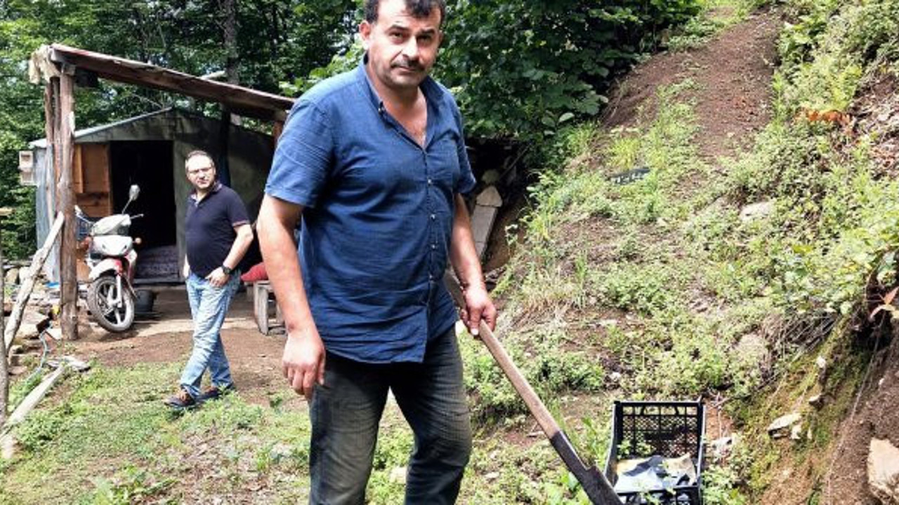 Arı kovanına yuva yapan yılanı besliyor: Yılanım çok yakışıklı, kadife gibi