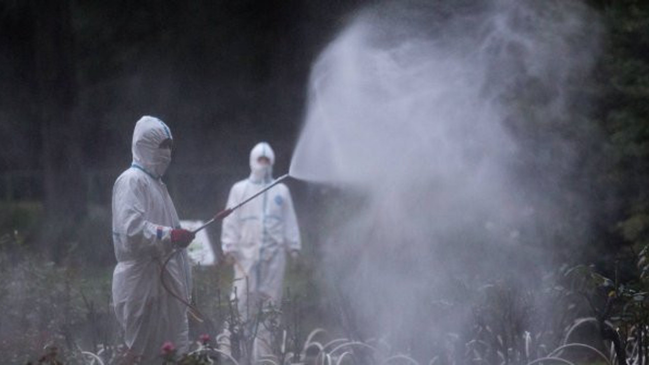 Tedirginlik arttı: Salgının zirve yaptığı dönem aşılabilir