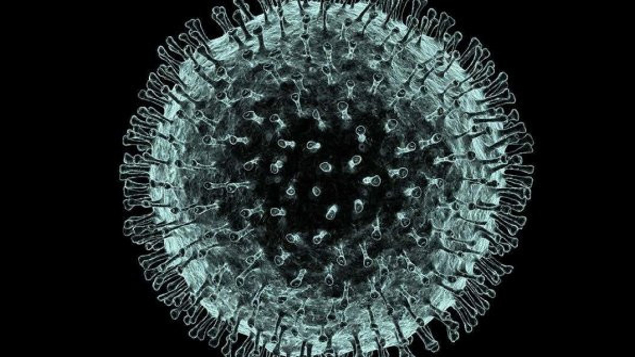 DSÖ açıkladı: 500 binden fazla insanın ölümü engellenebilir miydi