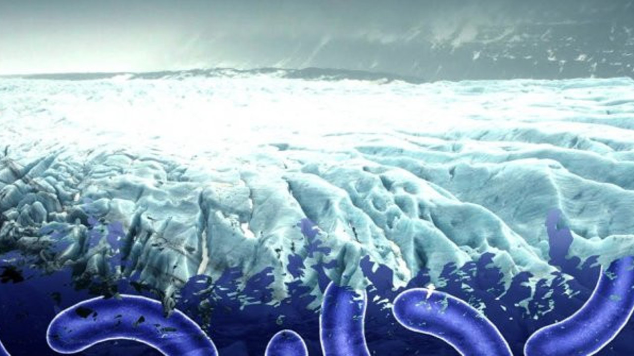 Yıllar sonra yeniden gündeme geldi! Buzullar eriyor sonumuz geliyor