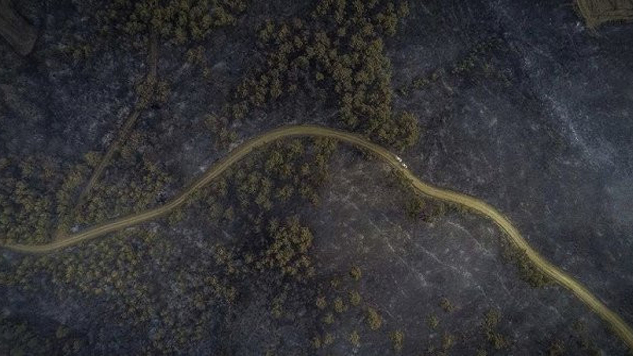 Bakan Pakdemirli: Gelibolu'daki yangın kontrol altına alındı