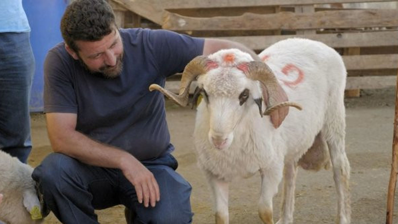Herkes nasıl olacağını merak ediyor: Bilim Kurulu Üyesi Özlü'den Kurban Bayramı tavsiyesi