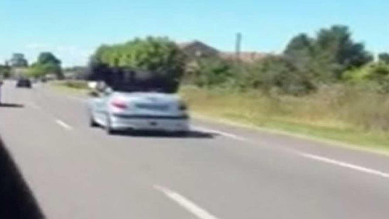 Dev boğanın lüks araç keyfi