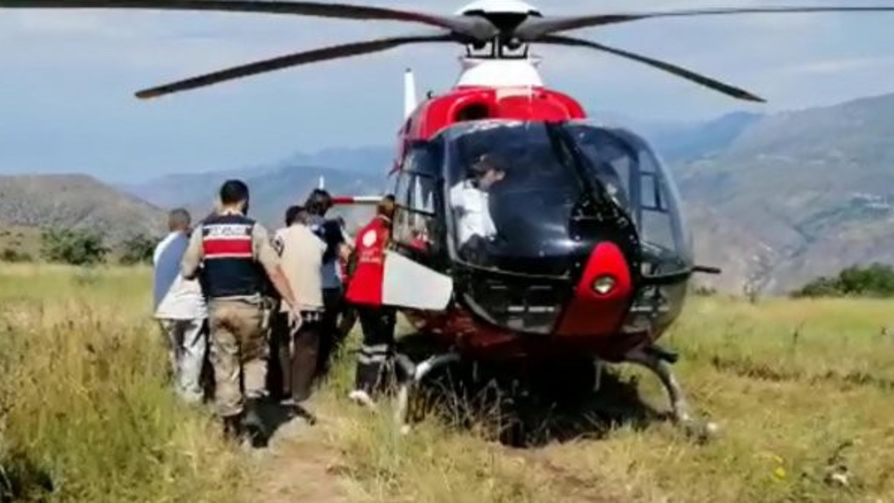 Piknikçilerin üzerine ağaç devrildi