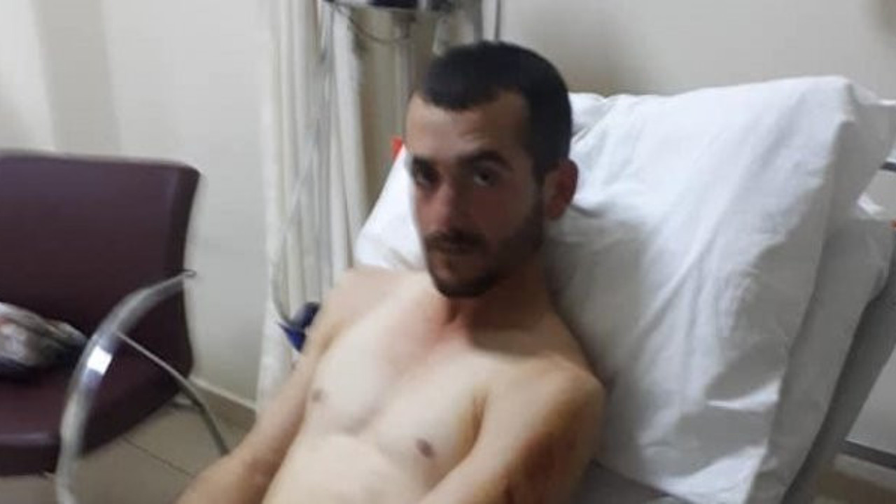 Pençe izleri vücuduna kazındı! Ayı saldırısından köpekleri kurtardı