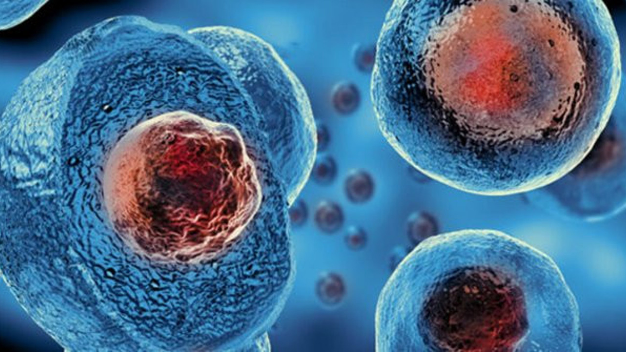 Kök hücre tedavisi nedir? Kök hücre tedavisi nasıl yapılır?