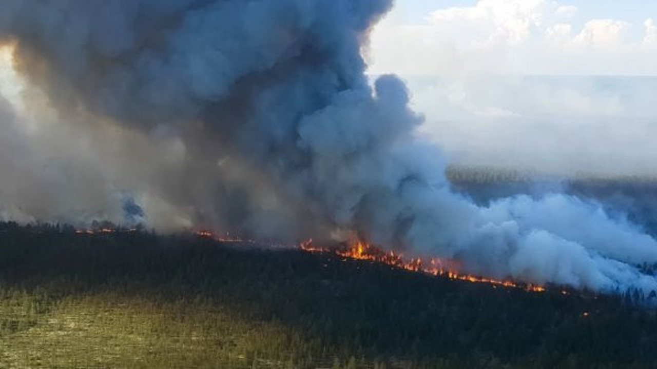 Eyvah! Sibirya'da ormanlar alev alev! Daha başımıza neler gelecek?