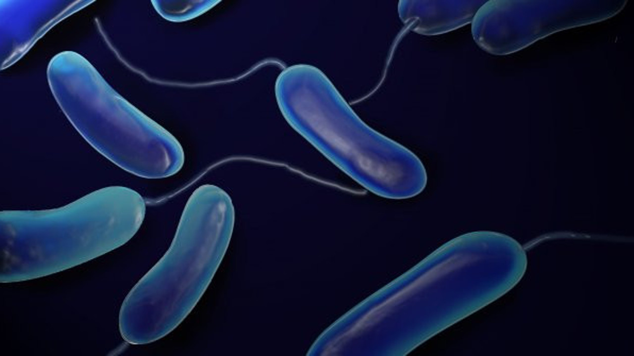 100 yıldır aranıyordu: Bilim insanları tesadüfen buldu: Çeşme suyundan kaynaklı