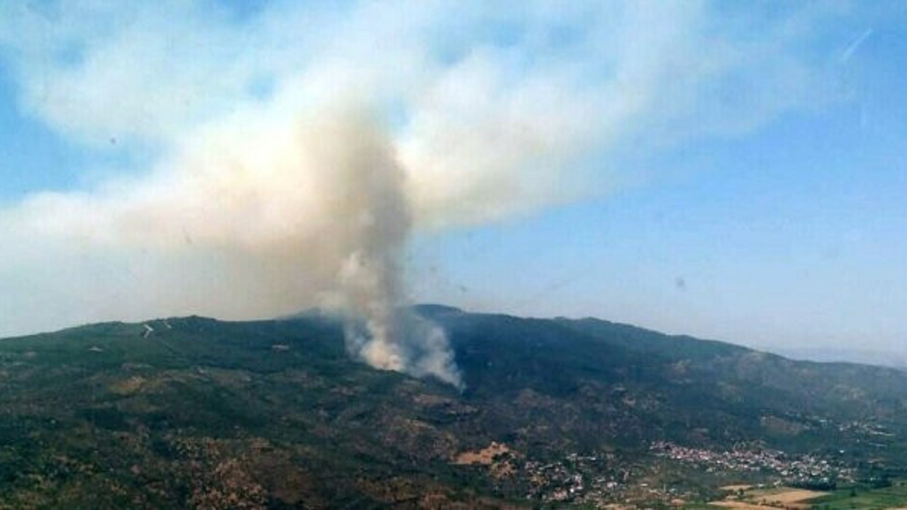 4 hektarlık zeytinlik ve ormanlık alan zarar gördü