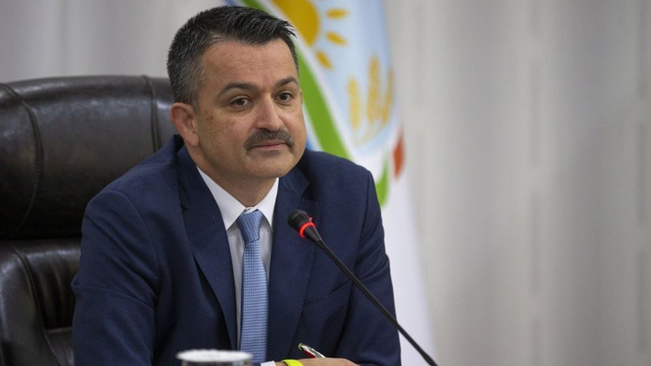 Bakan Pakdemirli'nin açıkladığı fındık rekoltesine CHP’den sert tepki