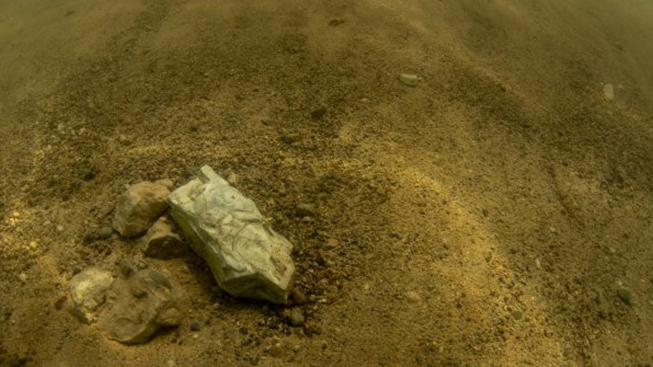 Türkiye'de bulundu: Tam 7,5 milyon öncesine ait