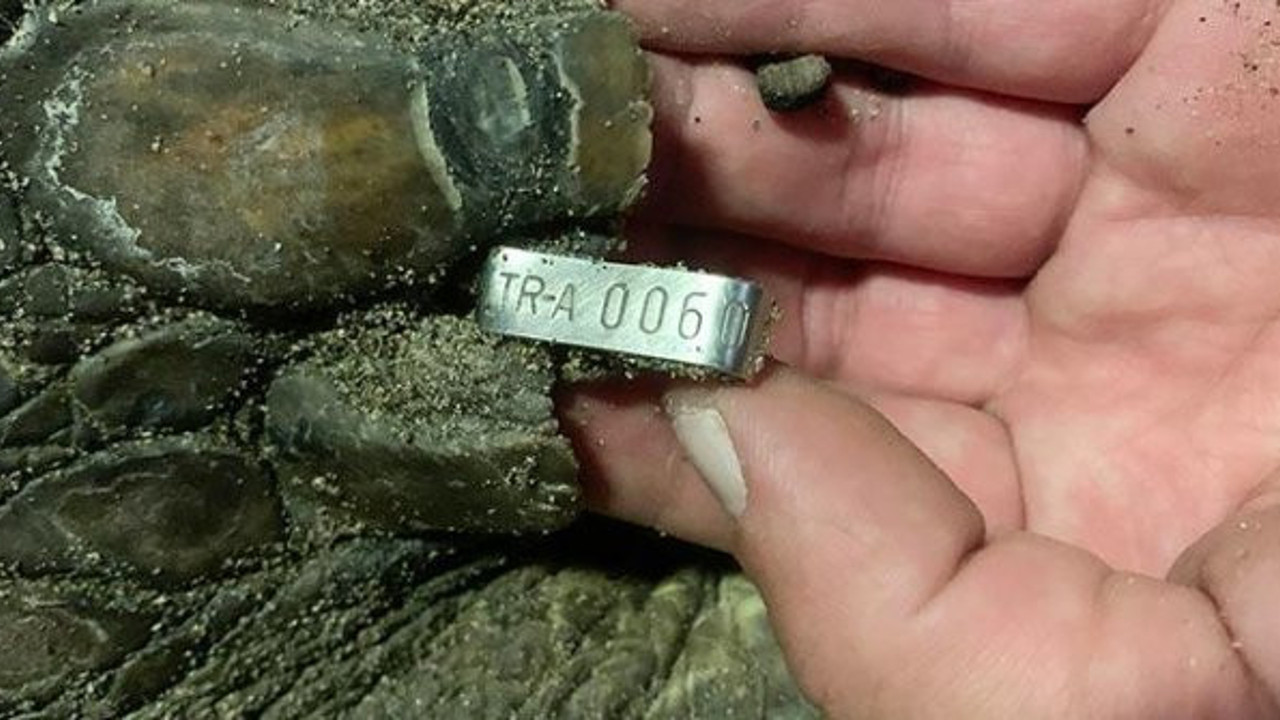 Heyecanlandıran gelişme! 21 yıl sonra geri döndü