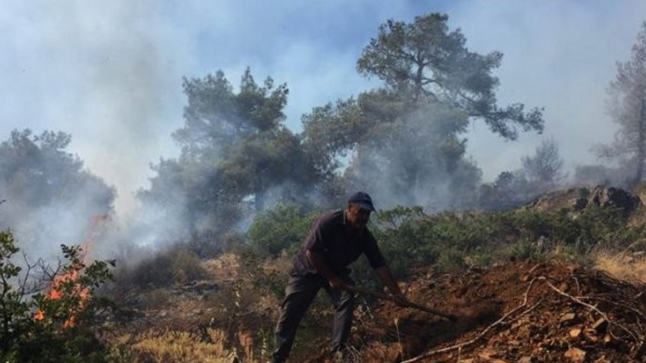 Islahiye'de orman yangını!