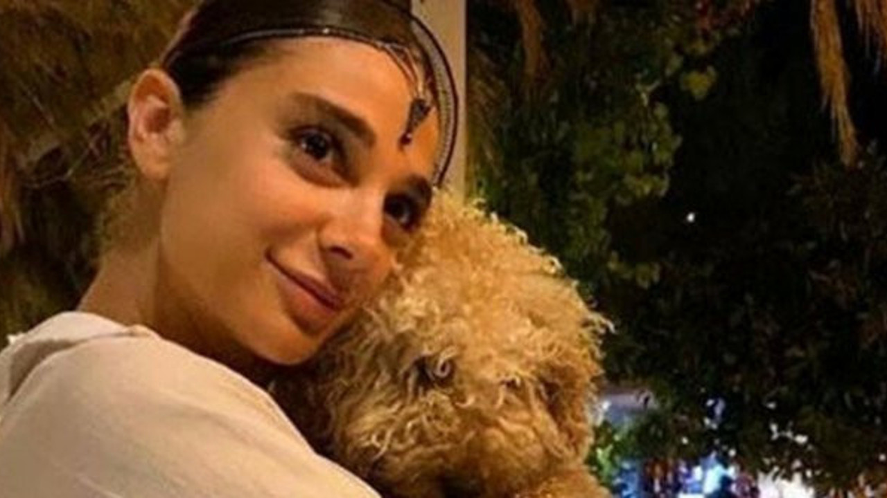 Üniversiteli Pınar’ın cinayetiyle ilgili yeni gelişme: Katil zanlısının kan donduran ifadesi ortaya çıktı