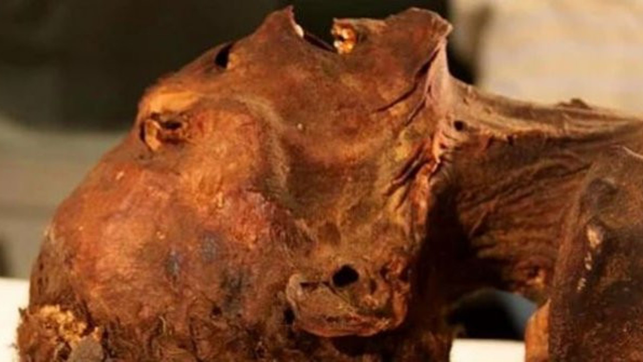 Bilim insanları açıkladı! "Çığlık atan mumya"nın sırrı çözüldü