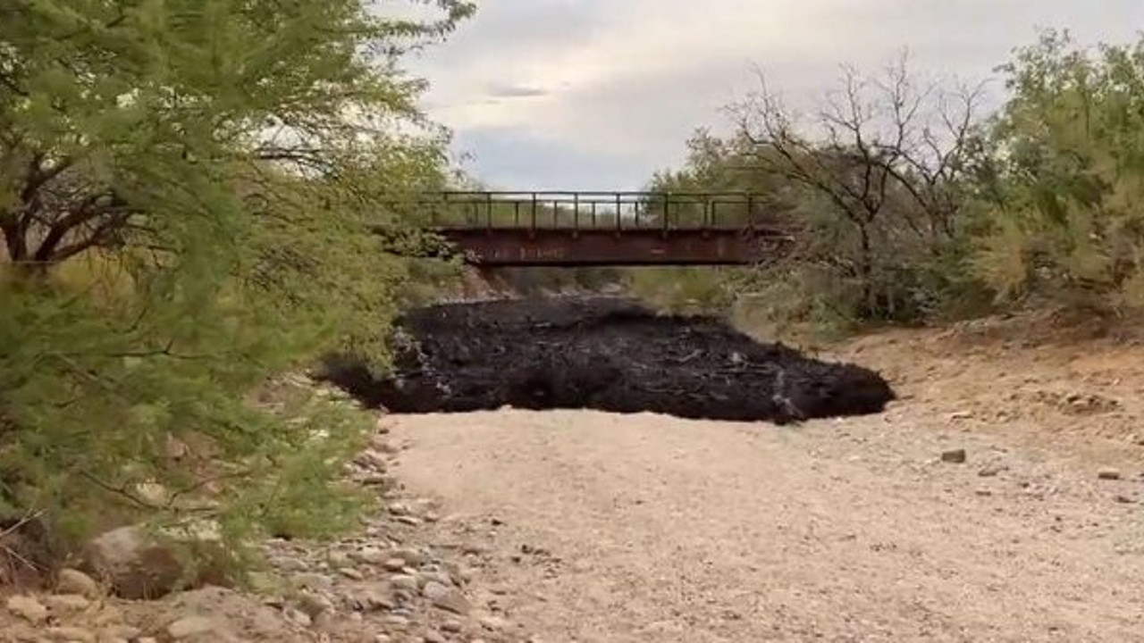 Kıyamet günü geldi sandılar