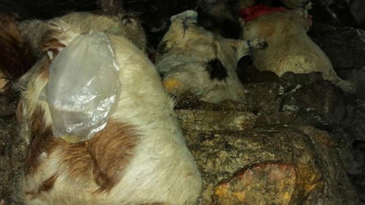 400 metre derinlikte üretiliyor! Sofraların vazgeçilmezi