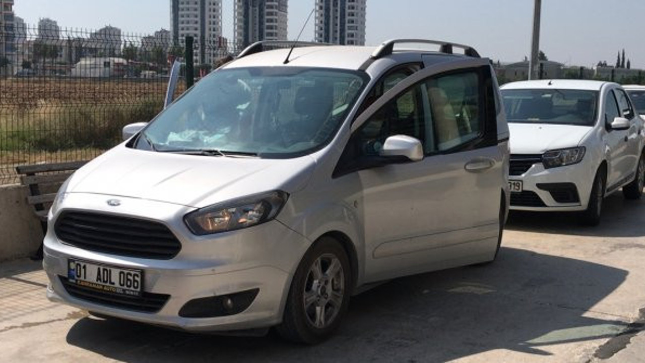 Aracın içinde arı soktu öldü