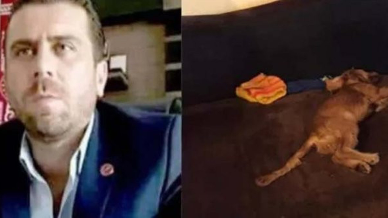 Köpeğe tecavüz ederek öldüren Volkan Uzun tutuklandı