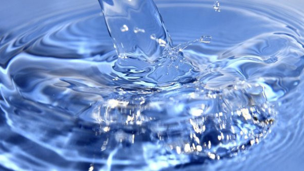 Niksar'da çıkıyor Avrupa'da tüketiliyor