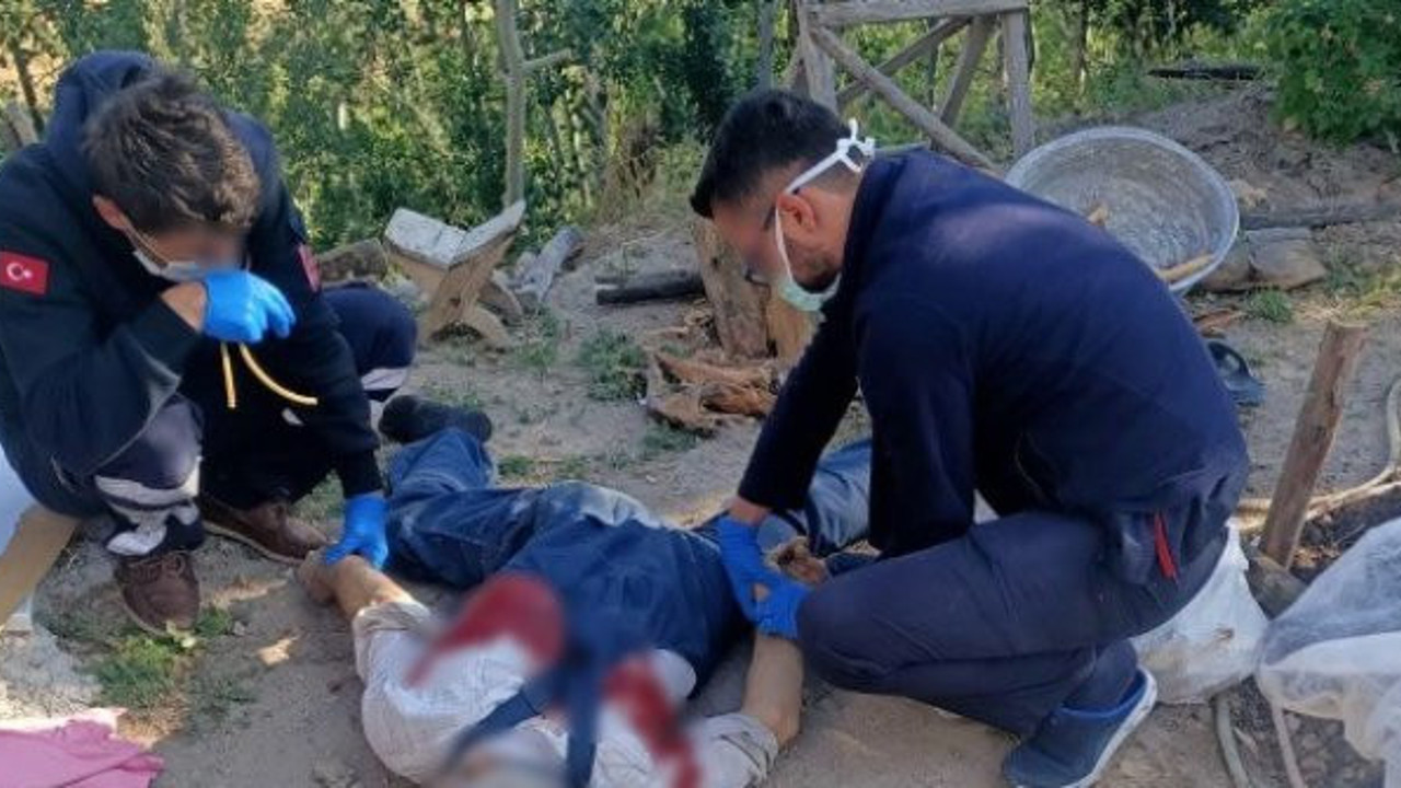 Odun kesen kardeşini öldürdü