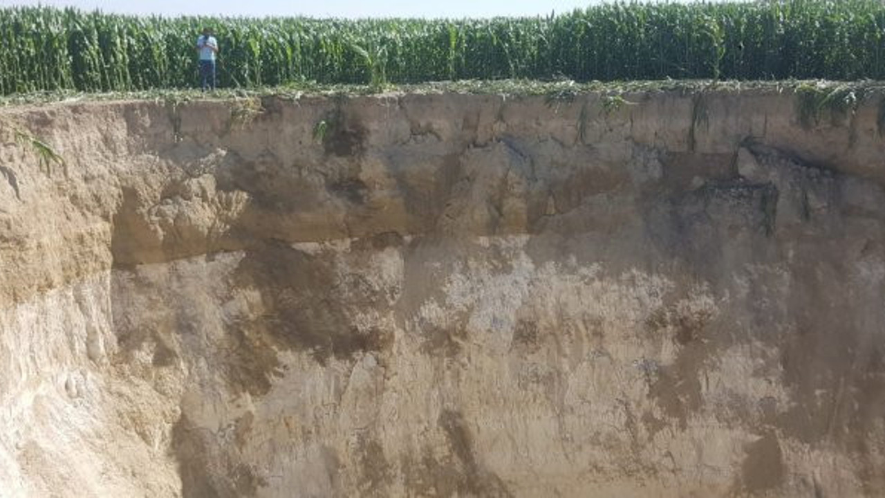 Tarlasında gördü, şaşkına döndü! O kadar büyüktü ki gözleri faltaşı gibi açıldı