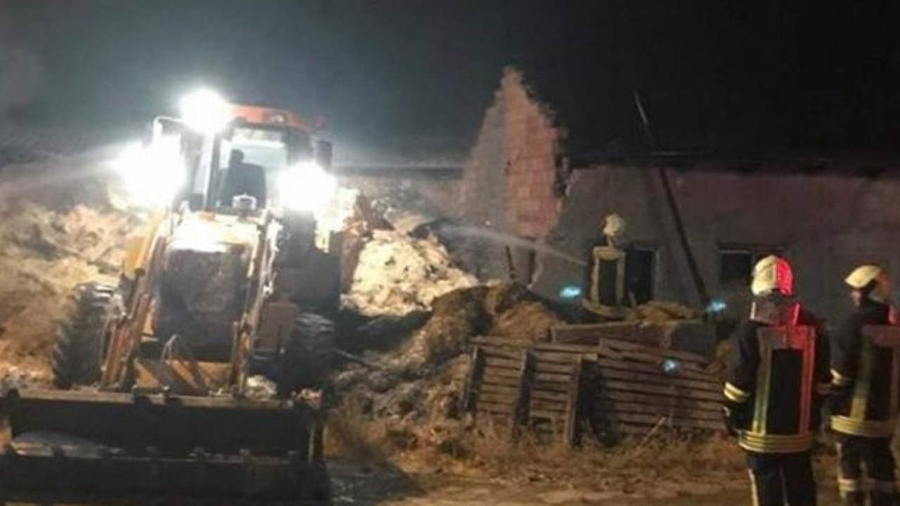 Besihane yangınında 40 büyükbaş hayvan öldü