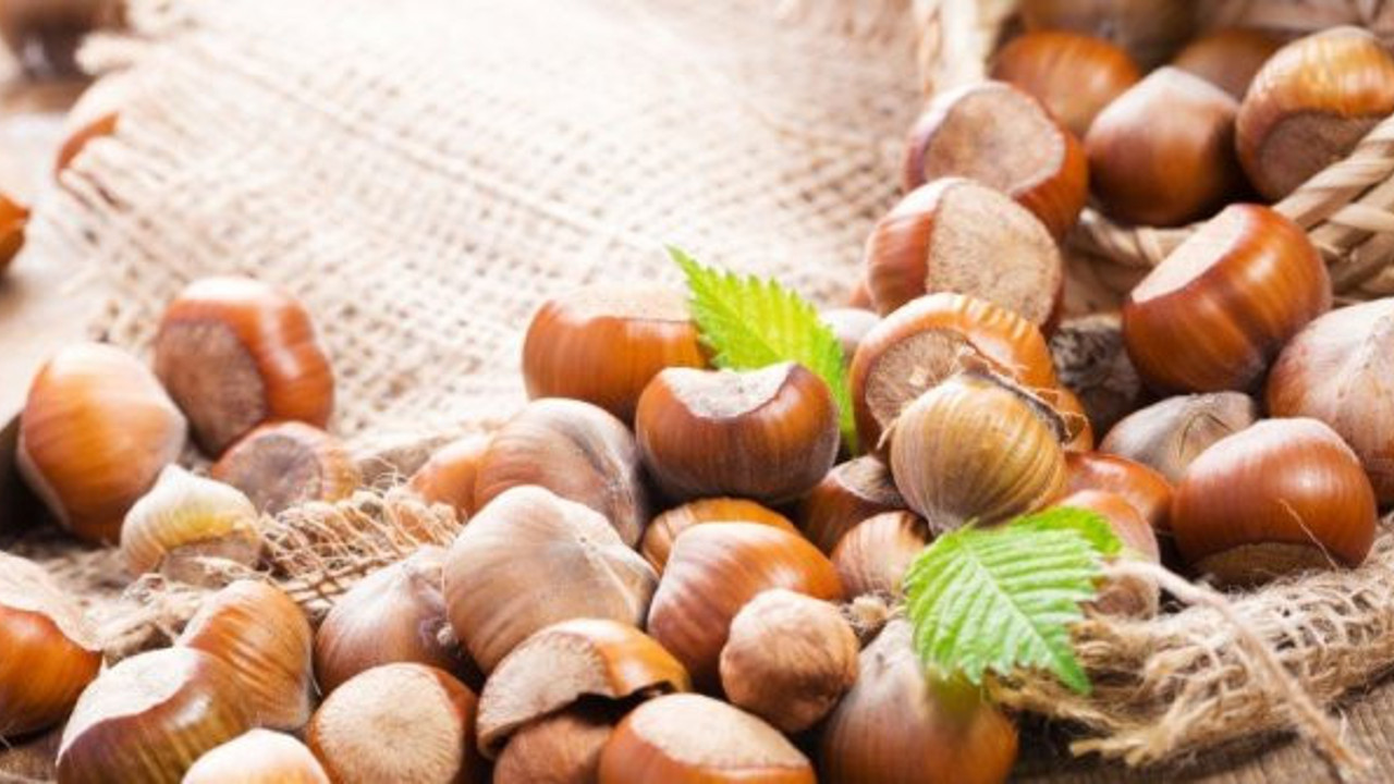 Fındık fiyatı açıklandı mı? Fındık fiyatları ne kadar oldu? Cumhurbaşkanı Erdoğan 2020 fındık fiyatlarını açıkladı