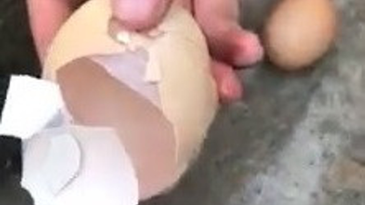 Şaşkına çeviren olay! Yumurtanın içinden bakın ne çıktı