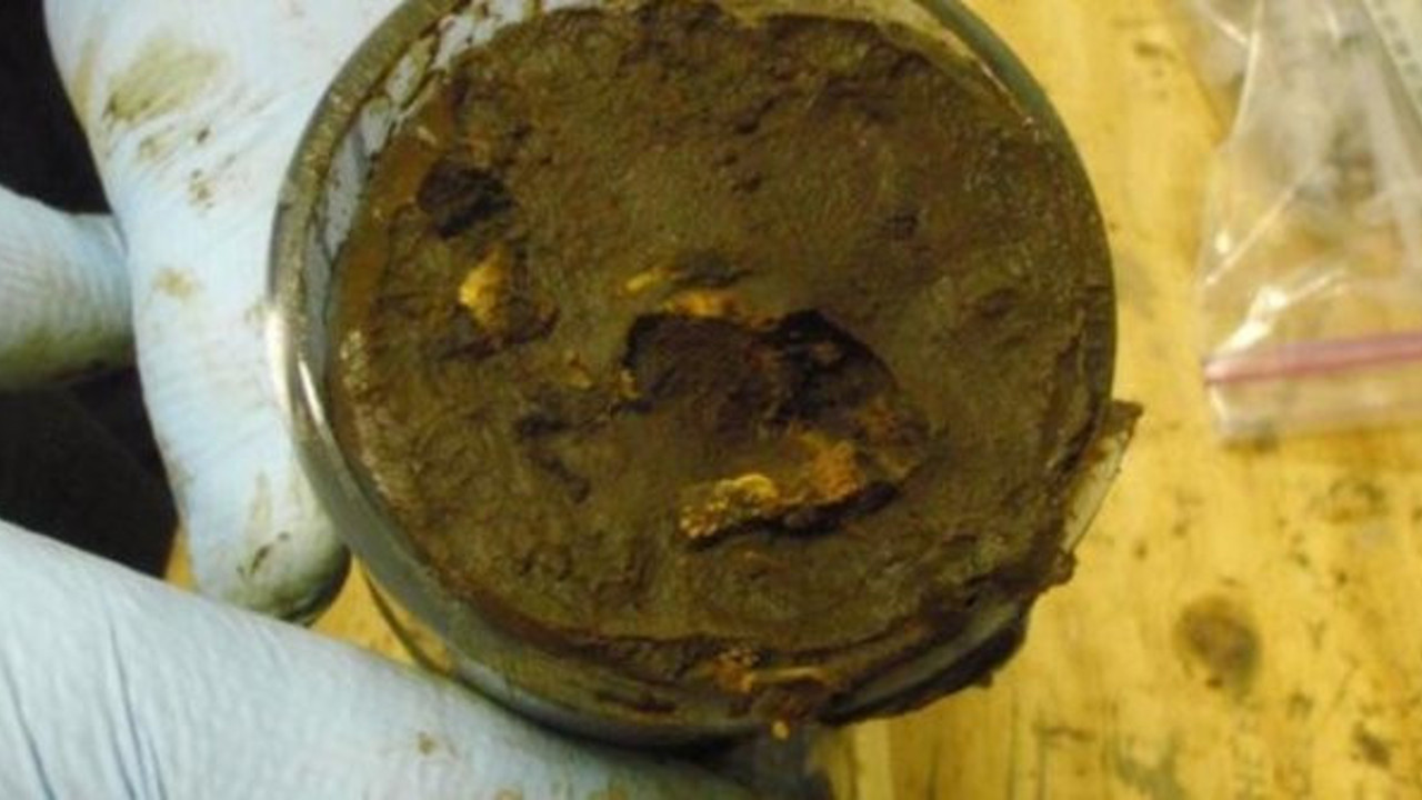 100 milyon yıl öncesine ait: Denizin dibinde uyur haldeyken canlandırıldı