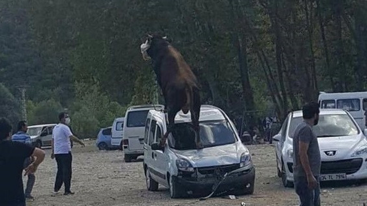 Uçtu uçtu boğa uçtu: Araba hurdaya çıktı: Bilin bakalım burası Türkiye'nin hangi şehri