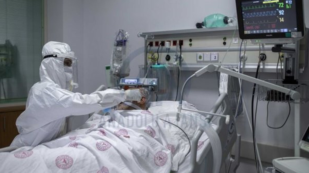 Neden farklılık gösterdiği ortaya çıktı! Koronanın sırrı T hücresinde saklı