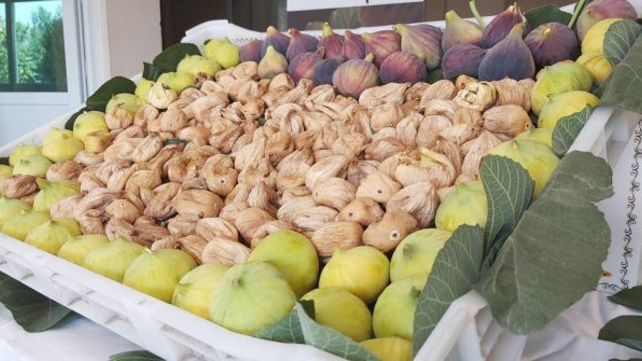 Nazilli’de sezonun ilk incir alım satımı gerçekleştirildi