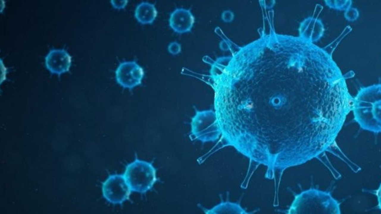 Çin virüs saçmaya devam ediyor! Şimdi de Bunyavirüs paniği