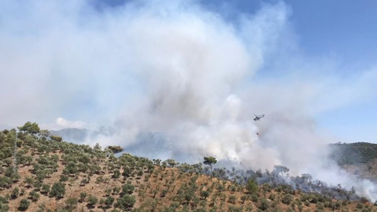 Muğla'da ormanlar alev alev