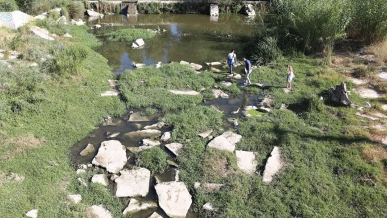 Muğla'da herkes bu olayı konuşuyor: Derenin her tarafından fışkırıyor: Çalıların arasında bile vardı