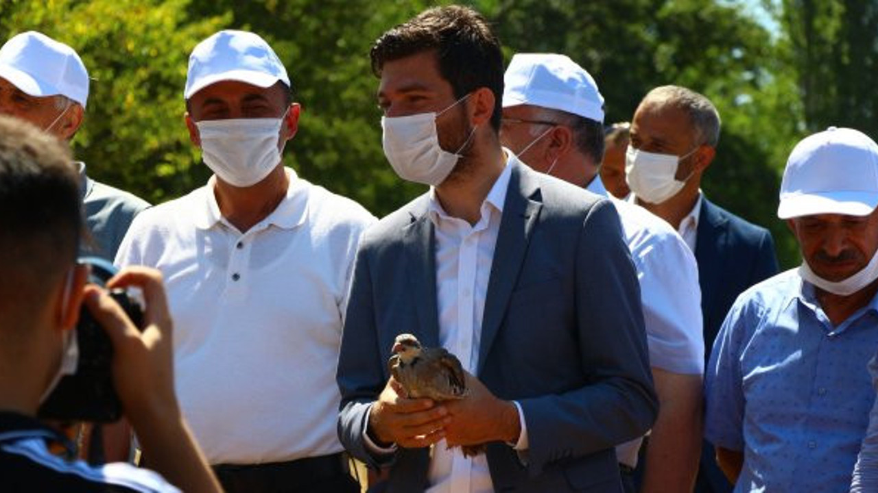 Törenle doğaya salındılar: Kenelerle mücadele edecekler