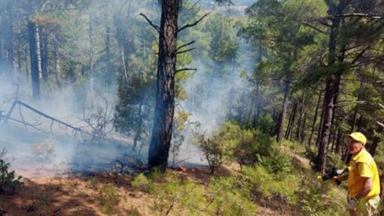 İki günde 6 orman yangını çıkmıştı! Nedeni belli oldu